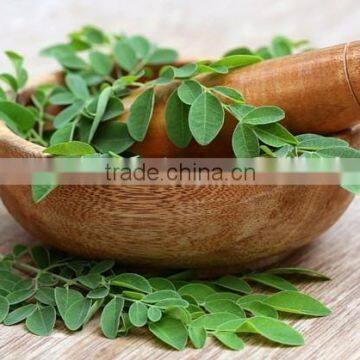 Moringa Leaf Powder for Bulk Export photo-2