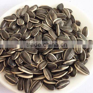 Chinese cheap sunflower seed