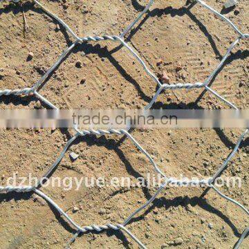 hex wire mesh