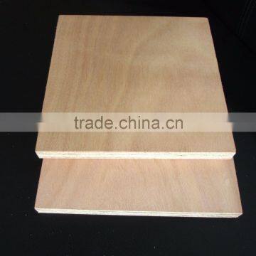 Plywood Hot Press photo-5