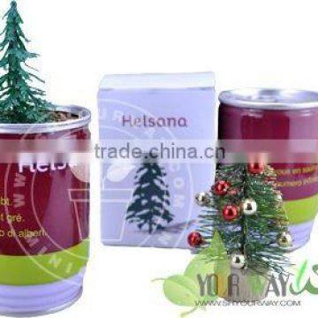 Tin Flower,Can Flower,Christmas tree seeds in a tin