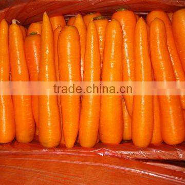 2014 Fresh carrot/Fresh carrot/China fresh carrot