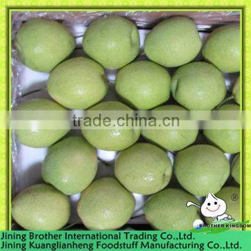 fresh shandong pear price