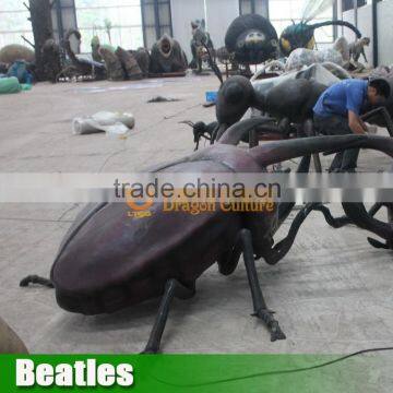 Insect Model Beatles for Sale photo-5