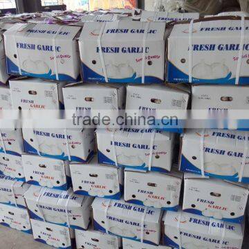 2016 Garlic 4.5cm-6.5cm Garlic Price Garlic Supplier photo-5