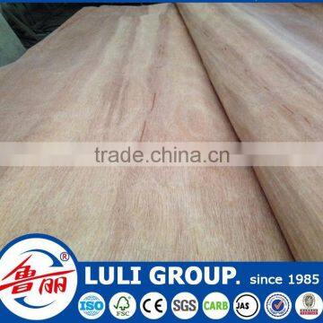 Recon Gurjan or Keruing Face Veneer photo-2
