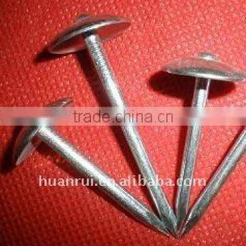 neoprene washer roofing screw5-9