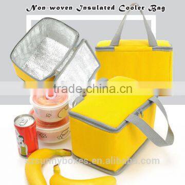 wholesales non-woven lunch 6 pack insulated sandwich cake cooler bag