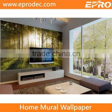 Commercial beautiful landscapes wallpaper