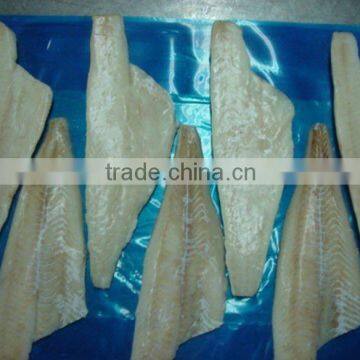 Frozen haddock fillet