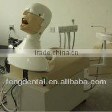 Dental Supply Dental Study Dental Imitation System