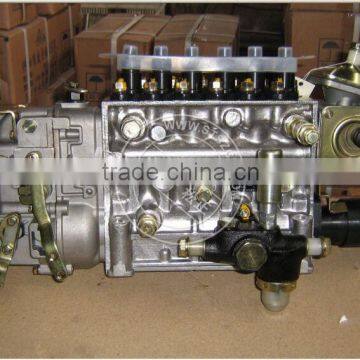612600081053 fuel injection pump for bulldozer SD16