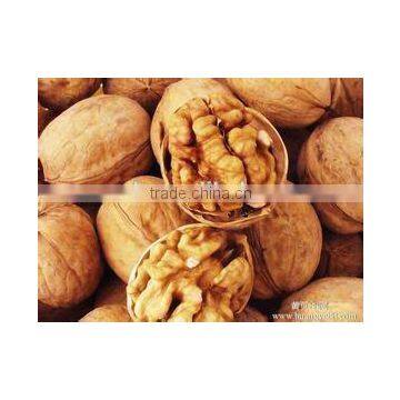 Cheap thin shell Walnut 500g