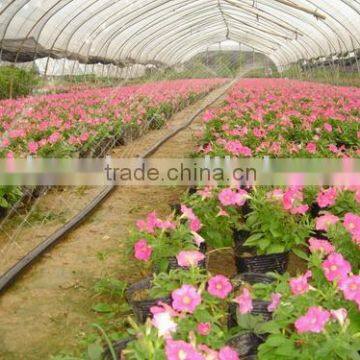 Ground Sprinkler Hose