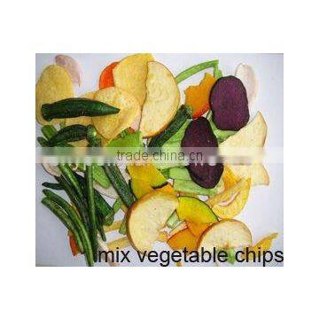 VF Vegetable & Fruit Chips (Healthy Snack)