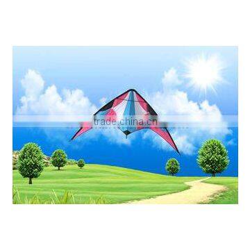 Dual Line Delta Stunt Kites - Curved Edge Kites