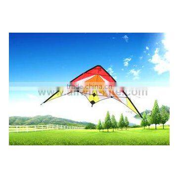 Dual Line Delta Stunt Kites - Curved Edge Kites