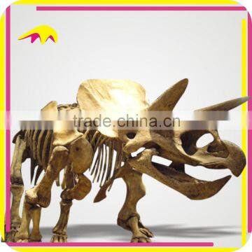 KANO2277 Life Size Museum Quality Dinosaur Skeleton Fossil