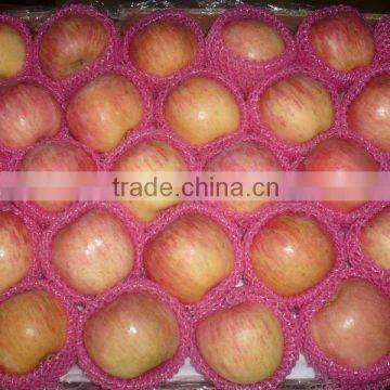 Fuji apple Yantai