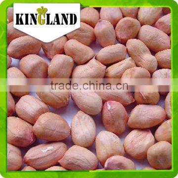 organic peanut kernel