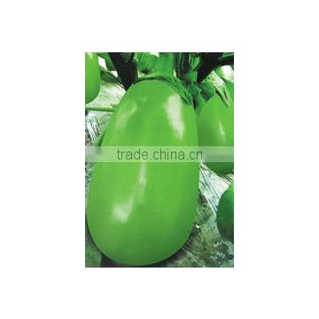 Hybrid green eggplant seeds for growing-NEW LX-1