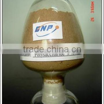 BNP Supply Best Natural Reishi Mushroom Extract