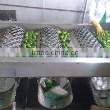 Vietnam Fresh Lime photo-2