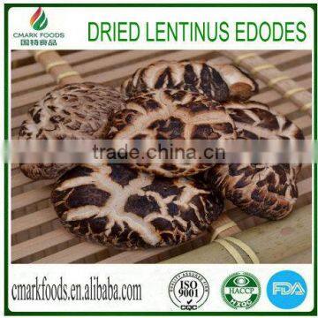 mushroom dried lentinus edodes