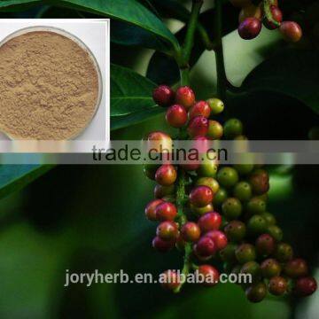 organic schizandra extract powder