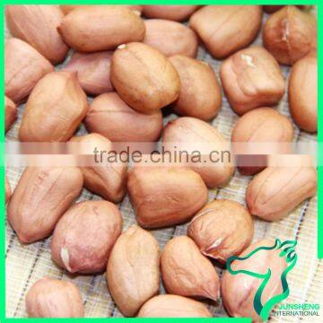 High Quality Red Skin Peanuts New Crop Peanut Kernel