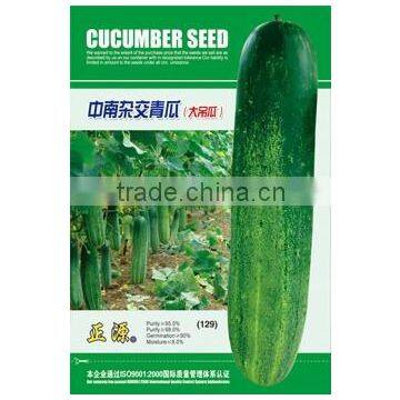 Cucumber seeds