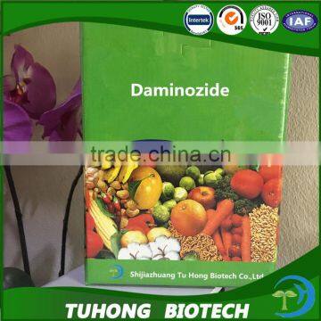 Hot sell plant hormone b995 daminozide