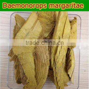 Herbal Medicine Common Fibraurea Stem Treating Diabetes