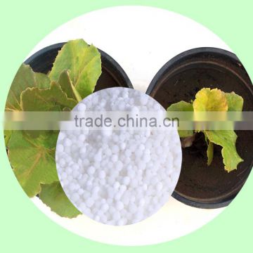 Calcium Ammonium Nitrate Fertilizer For Fruit and vegetables