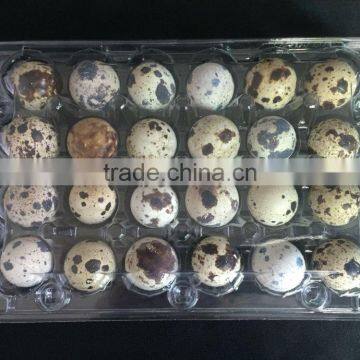 PVC Plastic Type and Plastic Material egg tray Quail Egg tray /box for sale