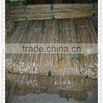 ZENT-142 Bamboo poles cheap