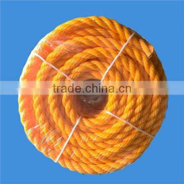 8mm Diameter UV-Stabilized PE Rope for Japan Market