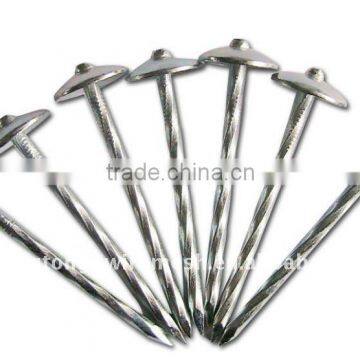 Heng Tong Galvanized Roofing Nails