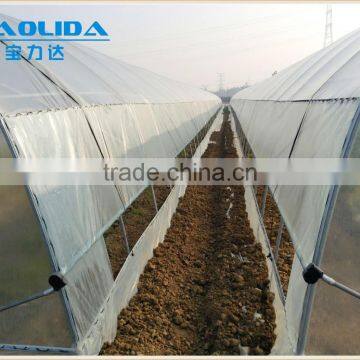 Baolida Cheap PE Film Tunnel Greenhouse Mushroom Greenhouse photo-2