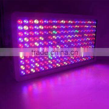 300W 600W 1000W Full Spectrum LED Grow Light for Veg and Flowering photo-5