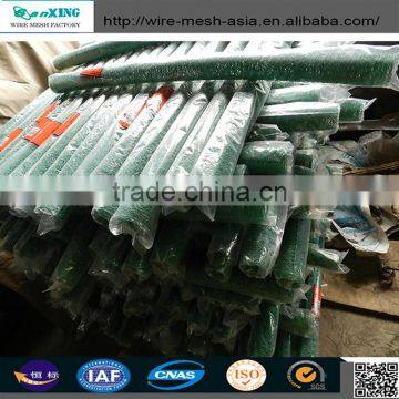 Bird Cage Wire Mesh / Gabion Mesh / Hexagonal Wire Mesh With High Quality photo-4