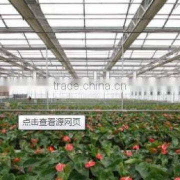 Greenhouse Sheet photo-4