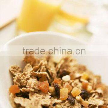 High quality Breakfast Cereals/Corn flakes processing line/equipment