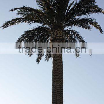 Cheap Artificial Palm Tree Date Palm for Out Door Decorative photo-2