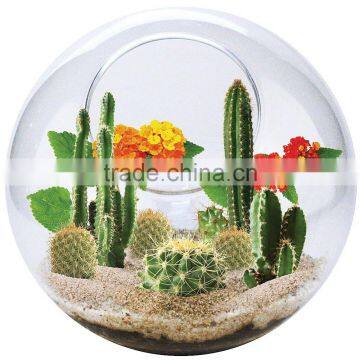 Acrylic Globe Terrarium photo-3