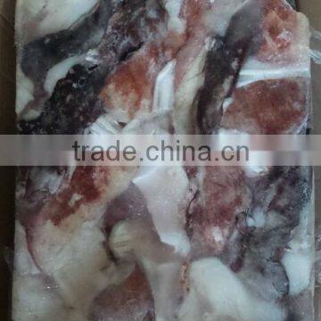 Frozen Giant Squid Neck photo-2