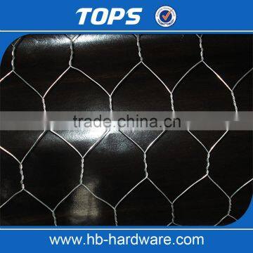 Hebei Factory Supply Fine Hexagonal Wire Netting/Gabion Slope Protection Netting/Cabion Wire Roll(Manufacturer) photo-5