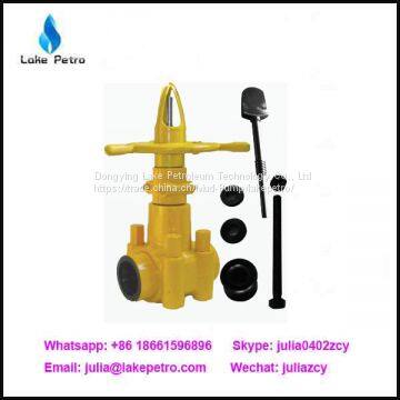 China Price API 6A Mud Gate Valve photo-4