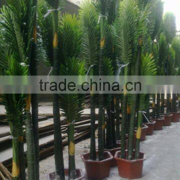 Guangzhou Factory Foliage Bamboo Palm Artificial Bamboo Palm photo-2