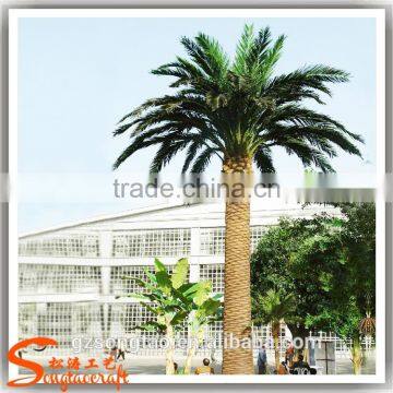 Plastic Date Palm Trees Prices Wedding Decorations Fake Large Plastic Tree and Plants Wholesale photo-3